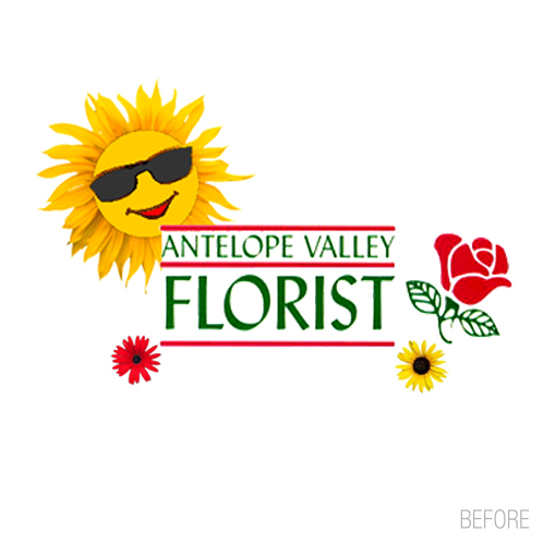 graphic design+ advertising+ print+ brand identity+ web design + web